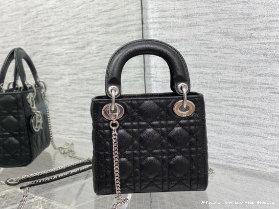 Tony Luxuries Calfskin Lady diro Mini 0813